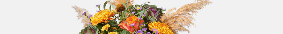 Bloemenpaleis Verhagen