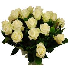 Lange witte Avalanche rozen