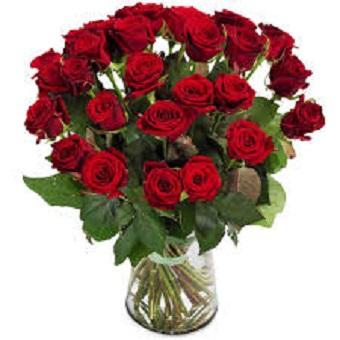 Lange rode rozen (Red Naomi) Rozen Bloemenpaleis Verhagen 
