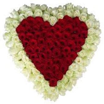 Rouwhart rode rozen met witte rand speciale rouwvormen Bloemenpaleis Verhagen 29 x29 € 100.00 